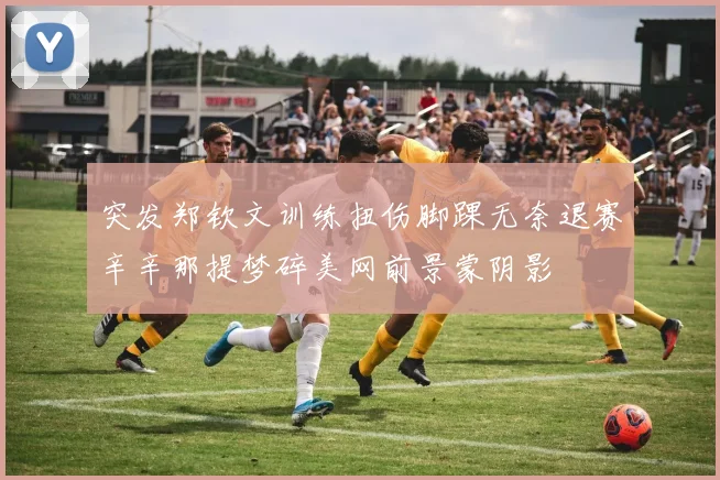 突发郑钦文训练扭伤脚踝无奈退赛辛辛那提梦碎美网前景蒙阴影