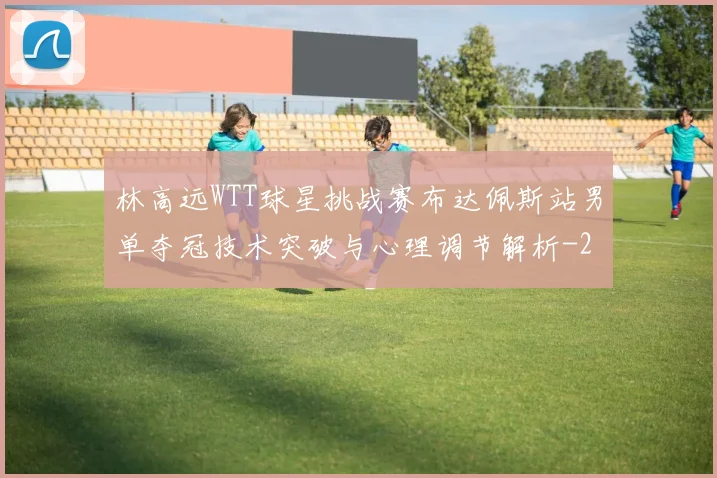 林高远WTT球星挑战赛布达佩斯站男单夺冠技术突破与心理调节解析